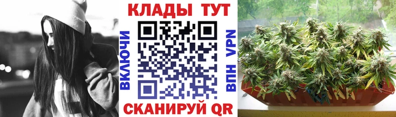 Где продают наркотики Каменногорск АМФ Кокаин A-PVP Меф ГАШ Канабис