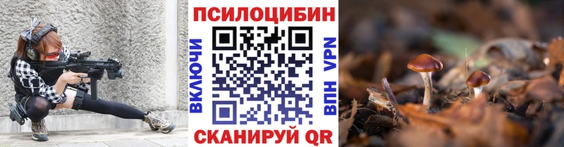 магазин продажи наркотиков  даркнет состав  Псилоцибиновые грибы Magic Shrooms  Каменногорск 